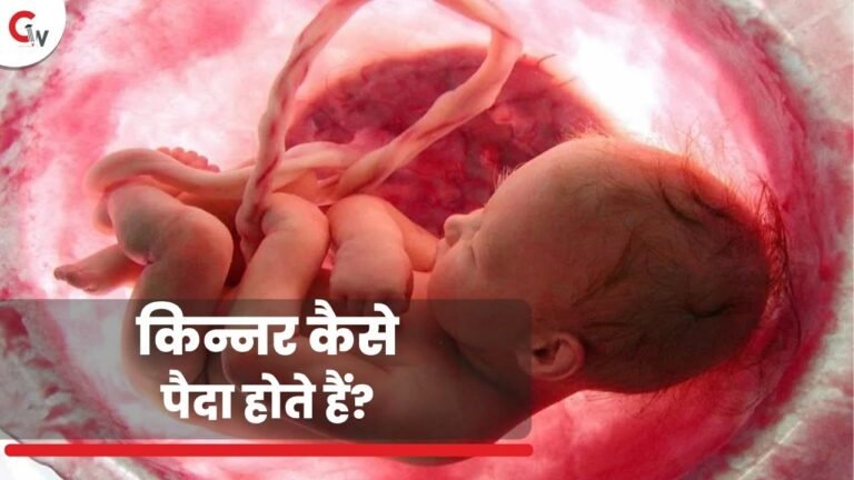 How are transgender babies born