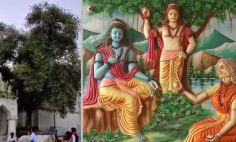 शिवरीनारायण मंदिर में अक्षय वट वृक्ष